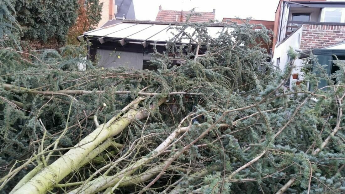 kruin van boom op veranda gevallen