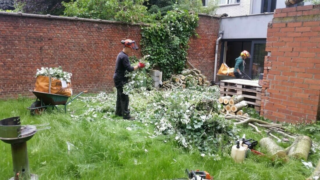 Werfsituatie tijdens het opruimen van de stormschade van de boom