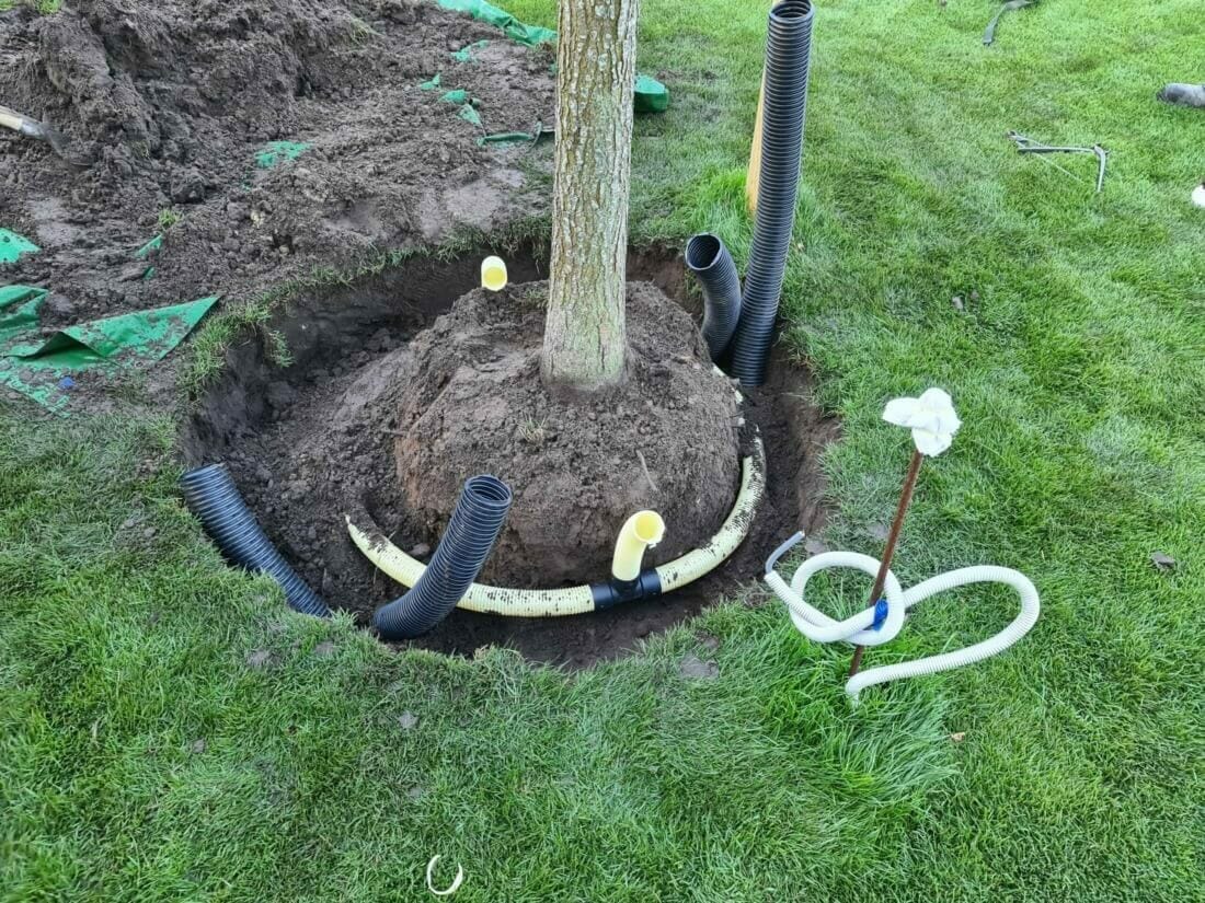 Aanplanten van een jonge boom met watergeefsysteem en luchtkokers.