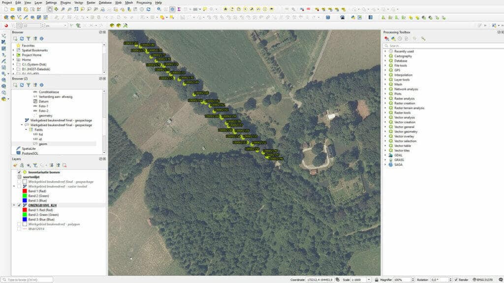 Printscreen van boominventarisatie voor het boombeheer met GIS-systeem; boombeheer van een beukendreef.