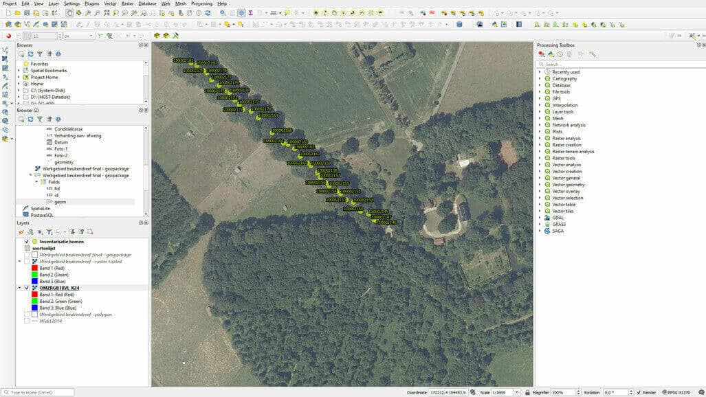 Printscreen van boombeheer met GIS-systeem; boombeheer van een beukendreef in een erfgoed bomenplan