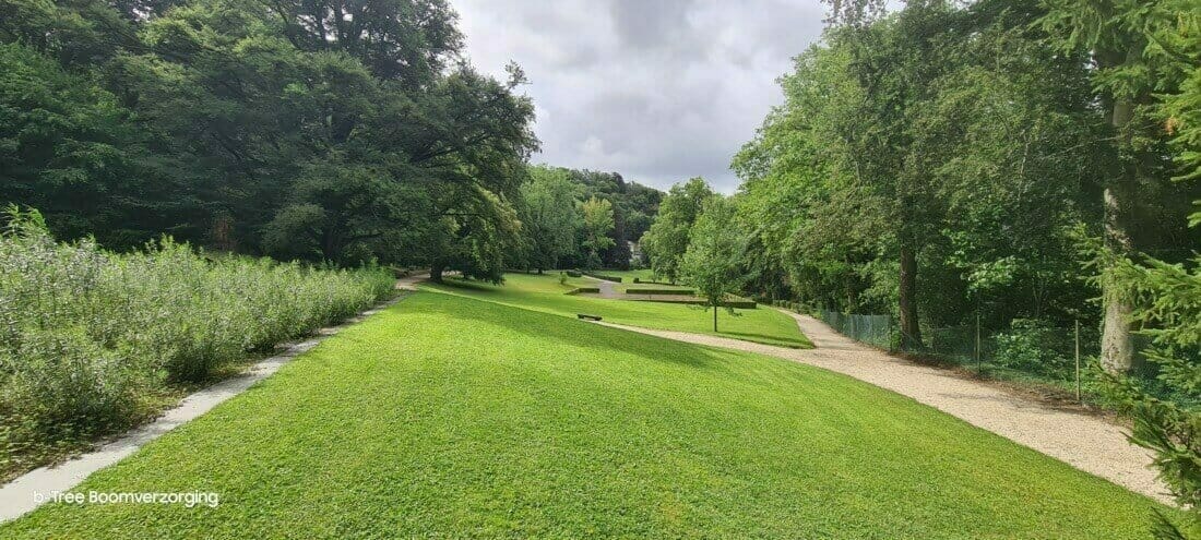 Parktuin met grote bomen die veel ecosysteemdiensten leveren omdat ze een grote kroonprojectie hebben.