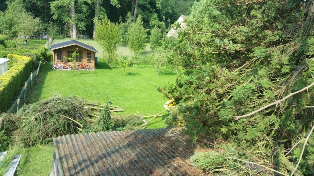 Schade door boom aan tuinhuis